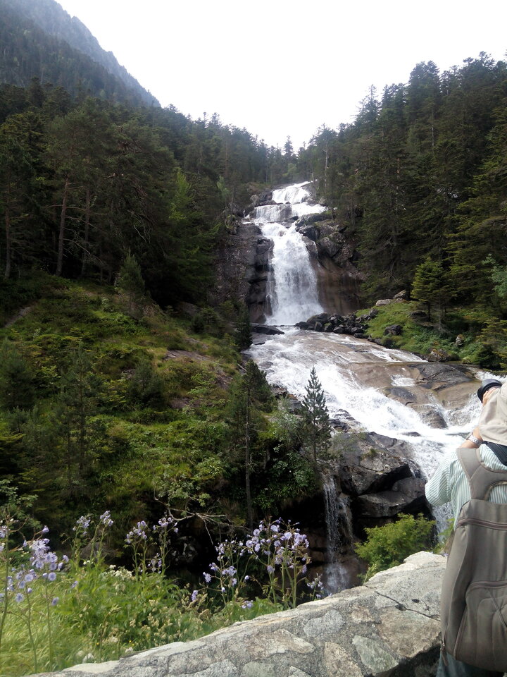 IMG_20190702_113019.jpg - VogelR