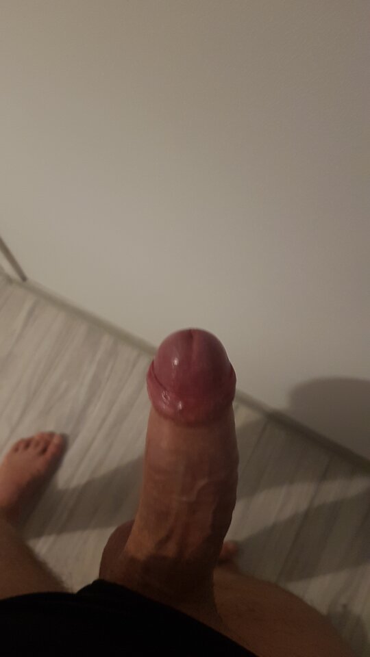 tmp-cam-2024688071515166894.jpg - Michael2023