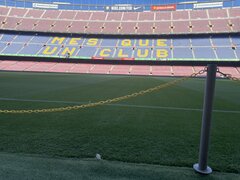 Ważne żeby wszystko było równo przystrzyżone 😉