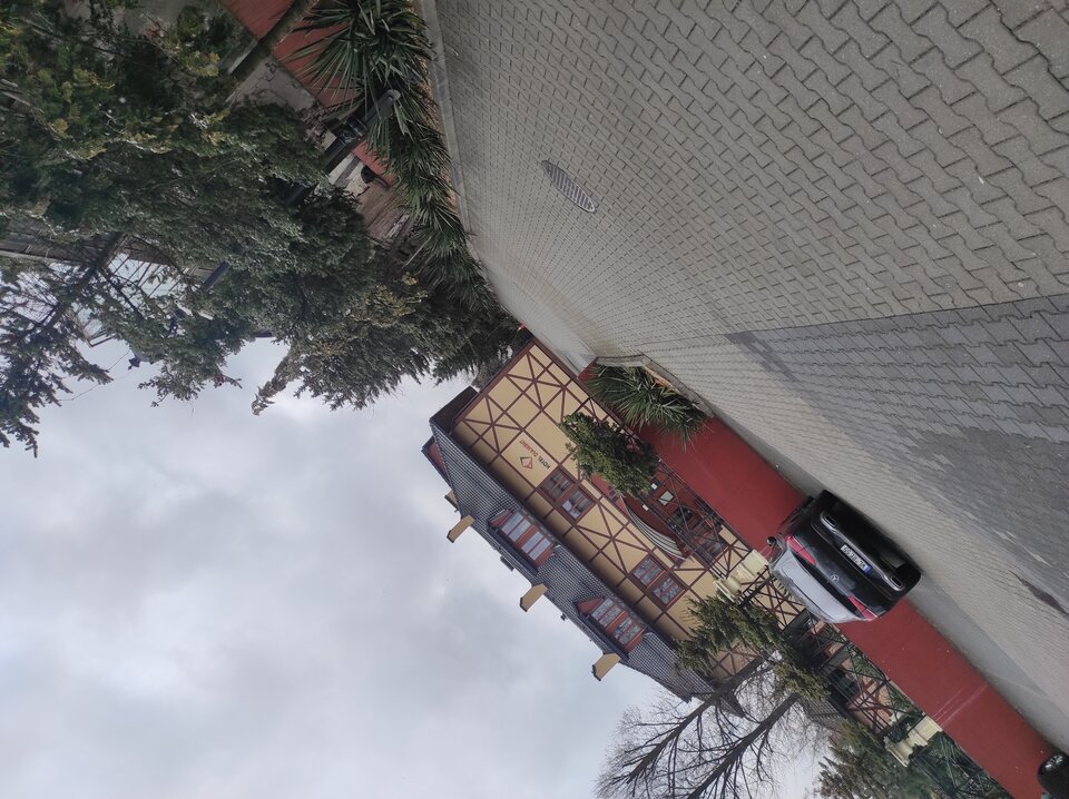 IMG_20230305_120527.jpg - Nimfo87