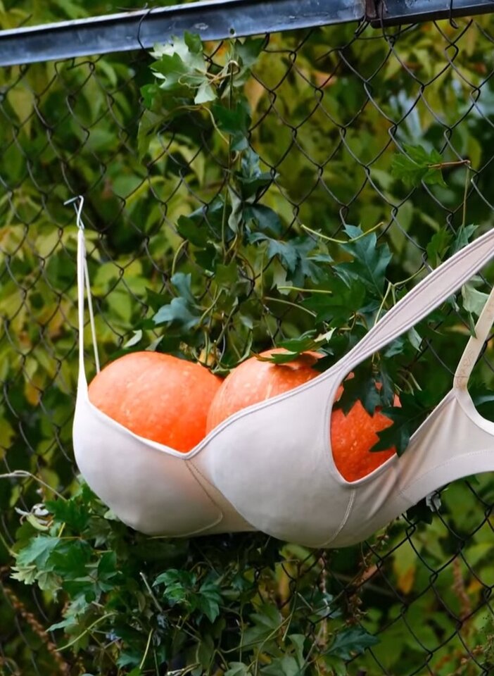 20230305-135606_.jpg - Nicci