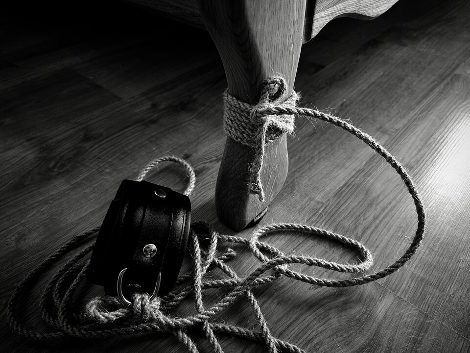 Polish_20220804_164131555.jpg - Tajemniczy_666