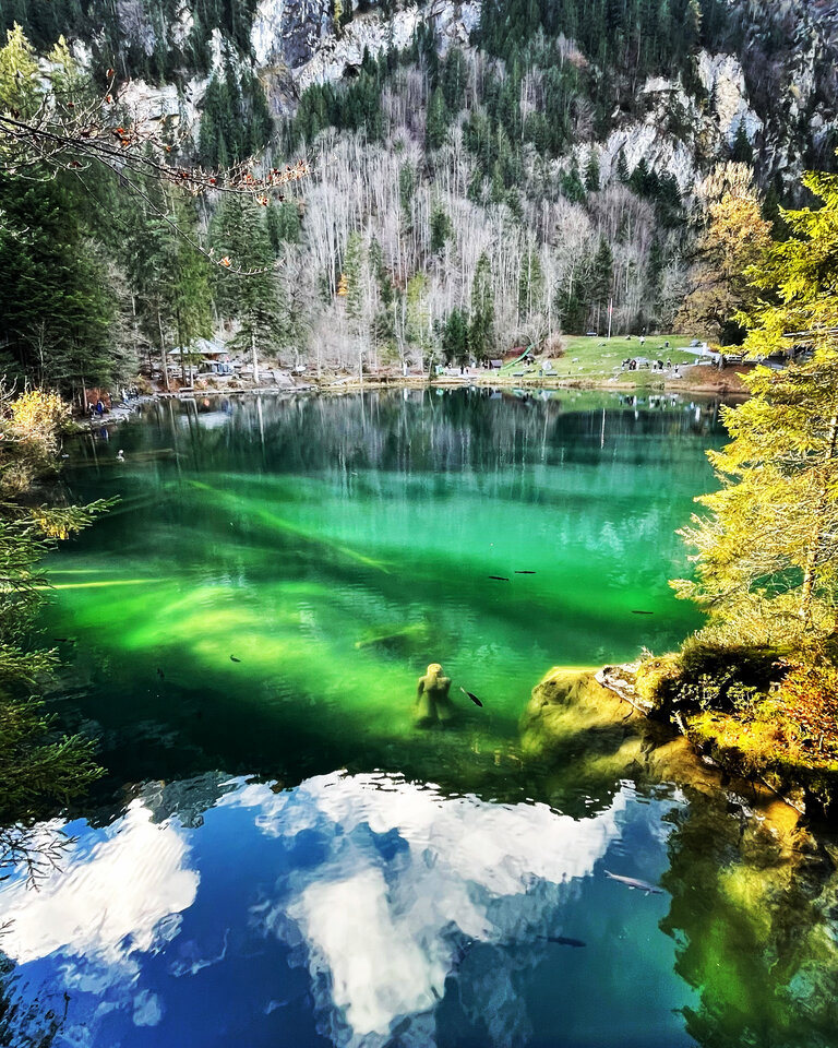 DDD3047C-652A-49AC-B514-C54B3EA0A9BC.jpeg - glodny007