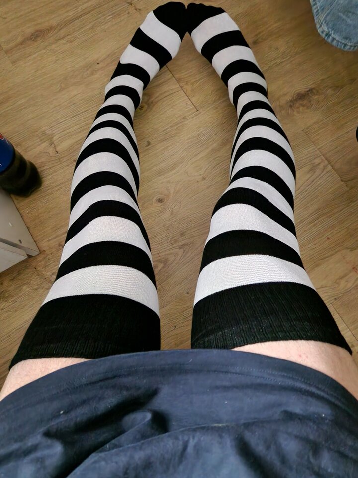 20230307_202346.jpg - Longlegs40