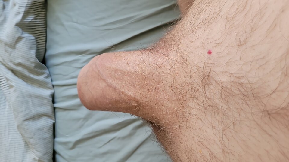 20230308_075638_remastered.jpg - pissarek