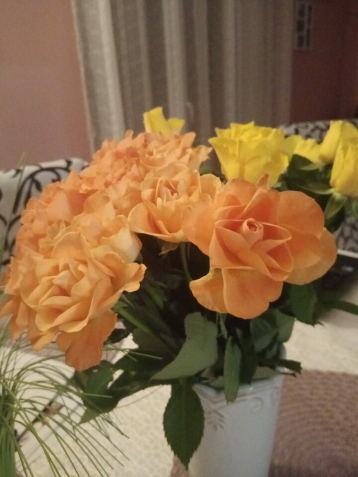 IMG-20230214-WA0016.jpg - Tom7474