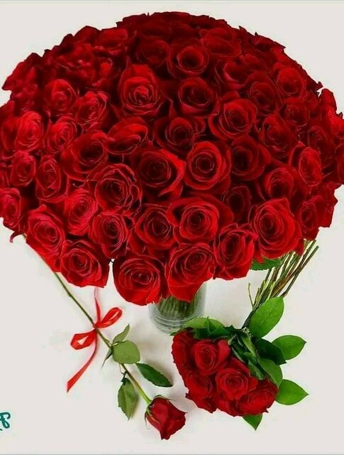 IMG-20230305-WA0002(1).jpg - Fetysz50L