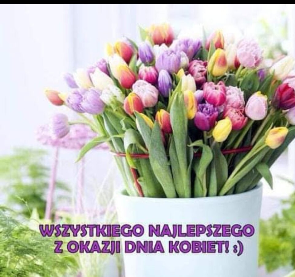Screenshot_20230308_110453_WhatsApp.jpg - Duzycyc2