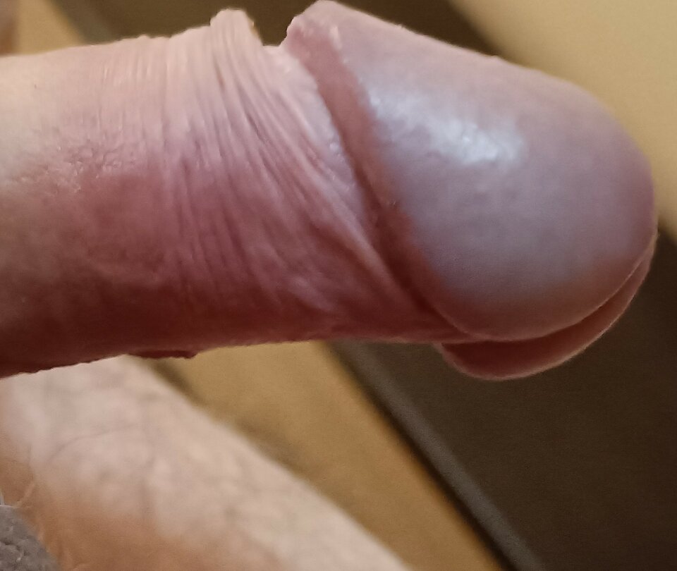 IMG20230308113413~2.jpg - ardas1