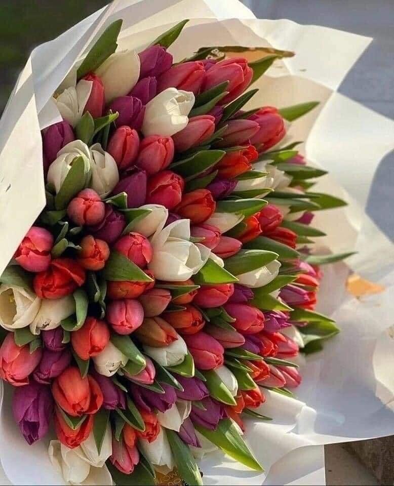 79A665C2-A4F6-4745-98FC-9A0E1B8EADF2.jpeg - 44milapara42