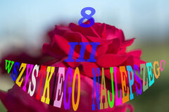 IMGP3542 — kopia.jpg