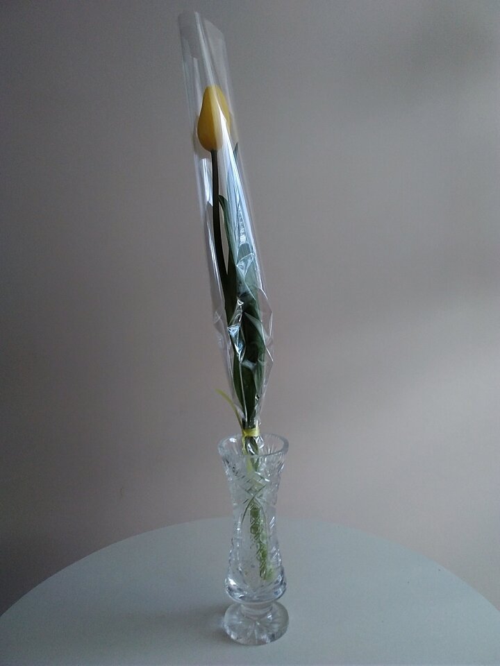 IMG_20230308_150418.jpg - Krzysztof061985