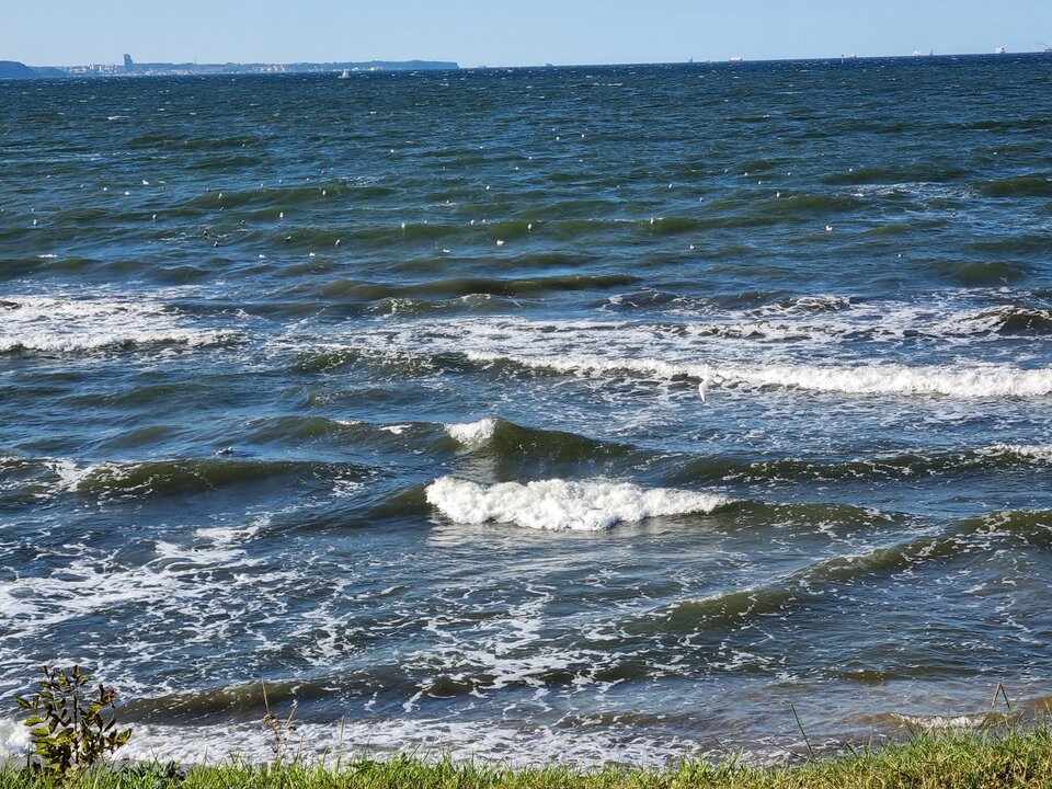 20210902_165024.jpg - on201207