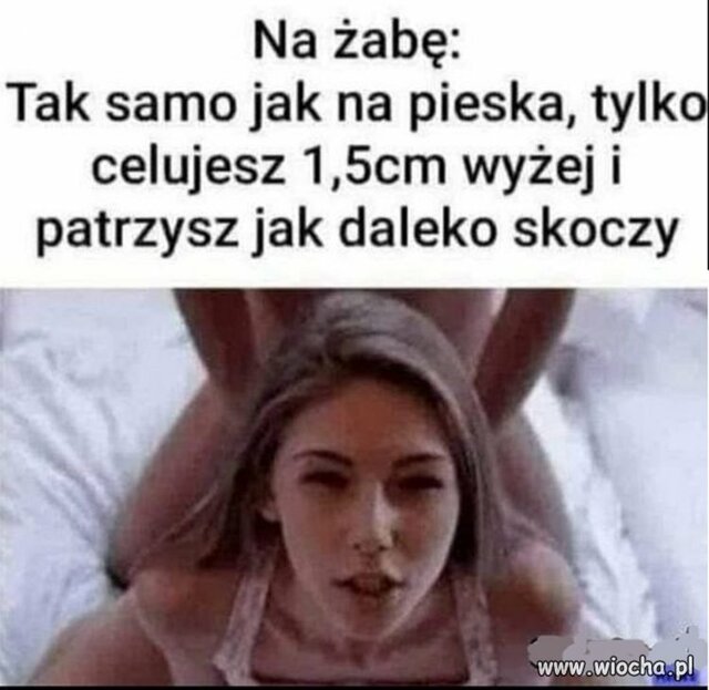 IMG-20230215-WA0000.jpg - VogelR