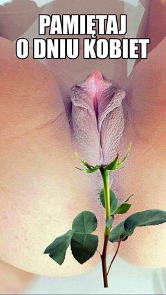 Najlepszego Drogie Panie