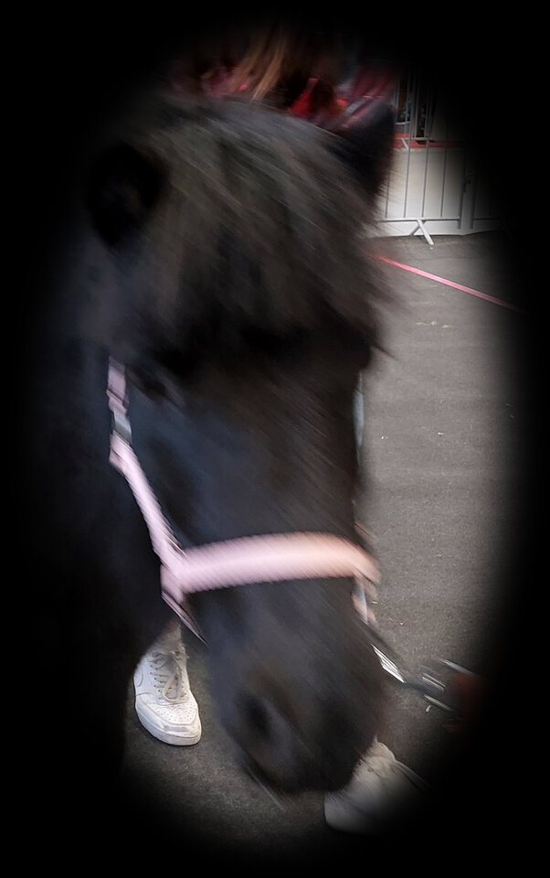 20230225_161350xd.jpg - IrPKIr