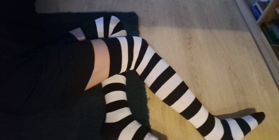 20230309_085044.jpg - Longlegs40