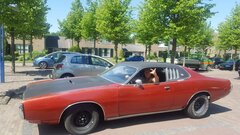 IMG-20230219-WA0004.jpg