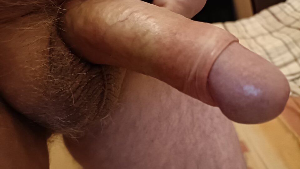 IMG20230310083559.jpg - ardas1