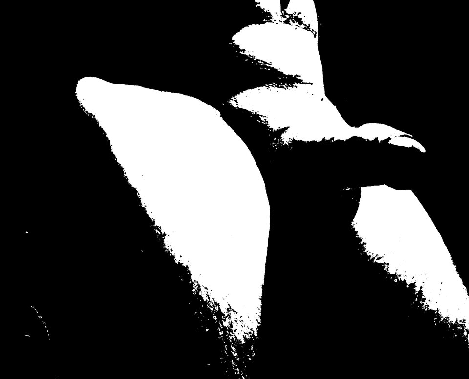 InShot_20230310_160122770.jpg - Bob0121