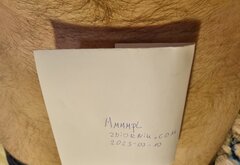 20230310_194357.jpg