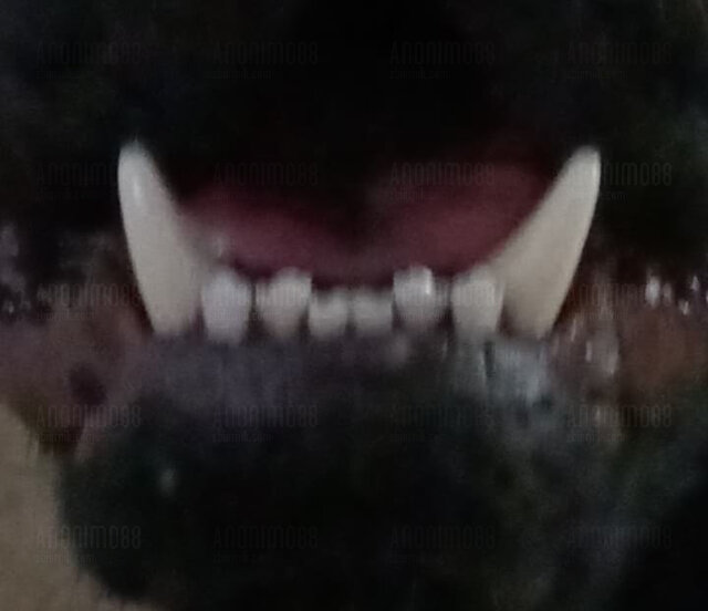 😁 - Anonimo88