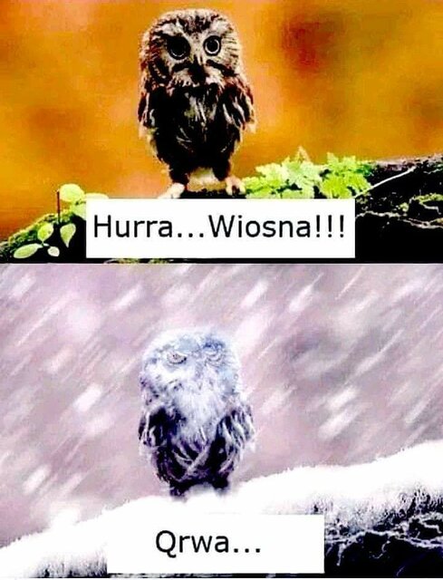 FB_IMG_1678526369989.jpg - lubiestarsze_bdg