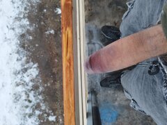 IMG_20230311_170312.jpg