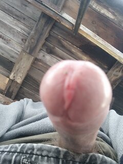 IMG_20230311_170328.jpg