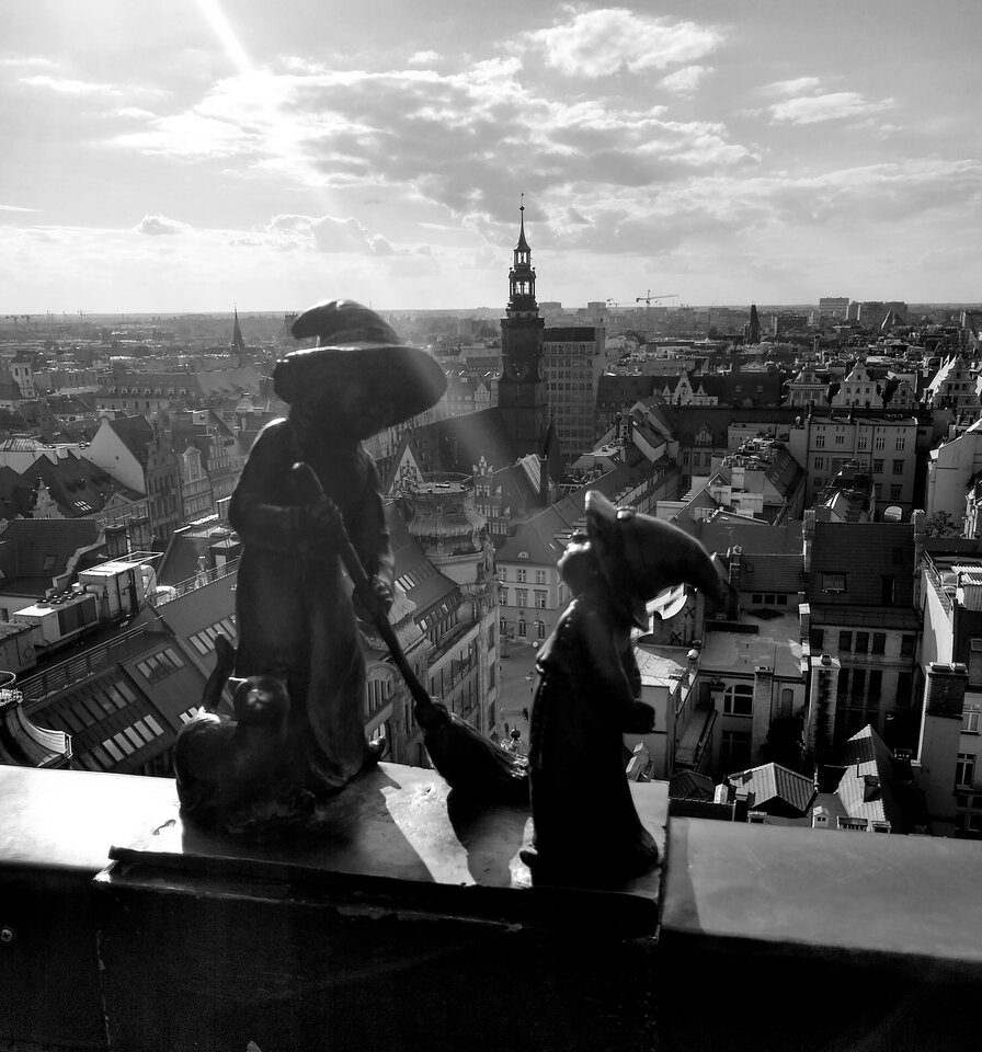 IMG_20220903_170920136_HDR~2.jpg - VogelR