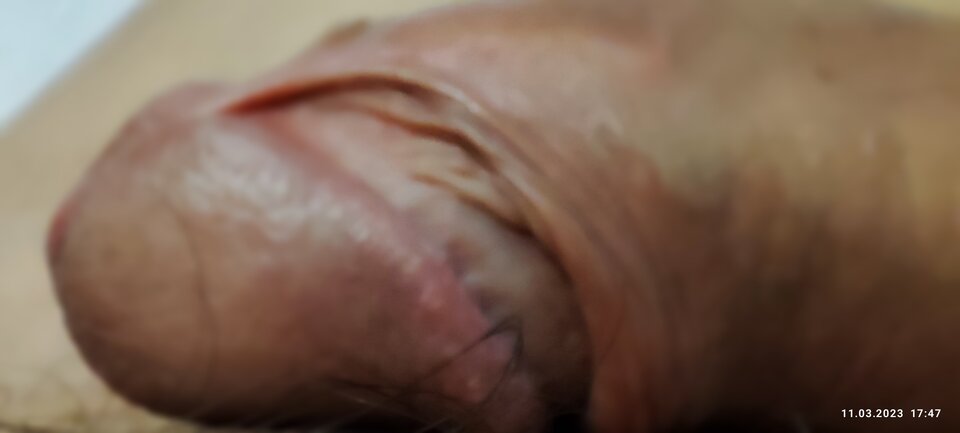 IMG_20230311_174723.jpg - kaliwisimulaga