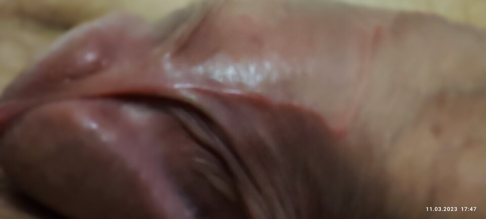 IMG_20230311_174736.jpg - kaliwisimulaga