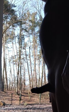 IMG_20230312_011524.jpg