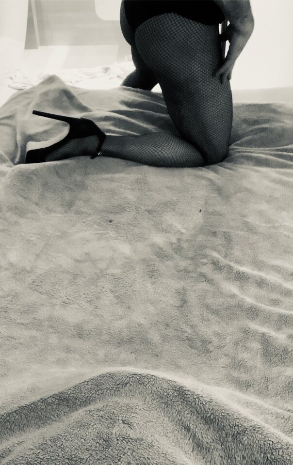 9837ACB1-3907-48FB-B8A4-92FD5D53825C.jpeg - FabStock