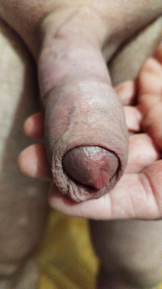 IMG-20220823-WA0026.jpeg - arturo33333