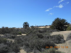 DSCN7461.JPG