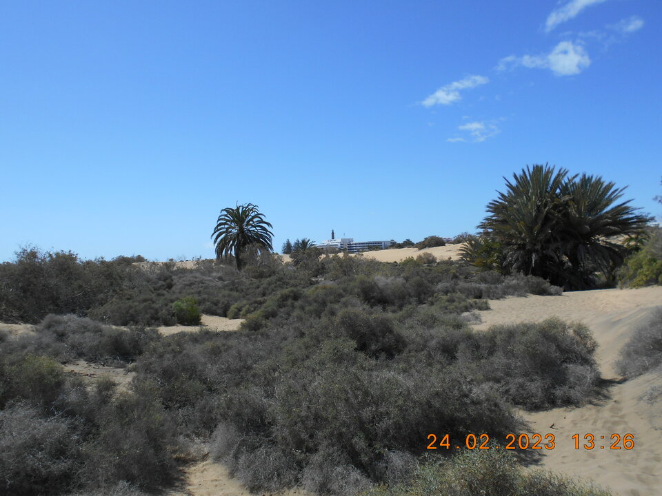 DSCN7461.JPG - Sam_bi