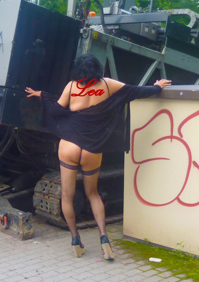 P1160058 ab.jpg - Leadwt