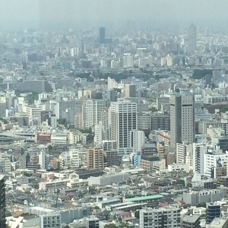 z wysoka - kaskader_wawa