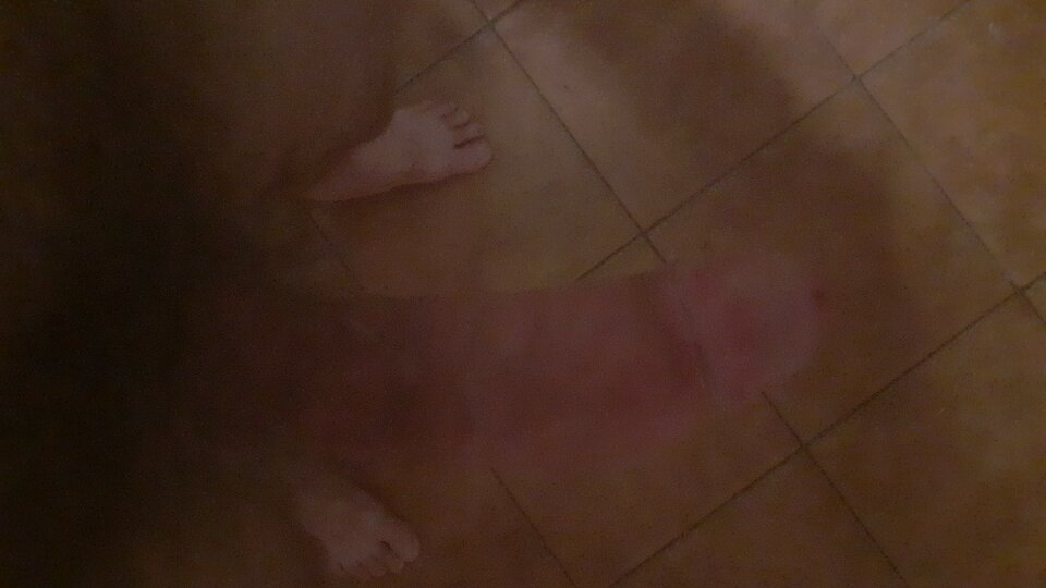 IMG-20230314-WA0000.jpeg - darjan