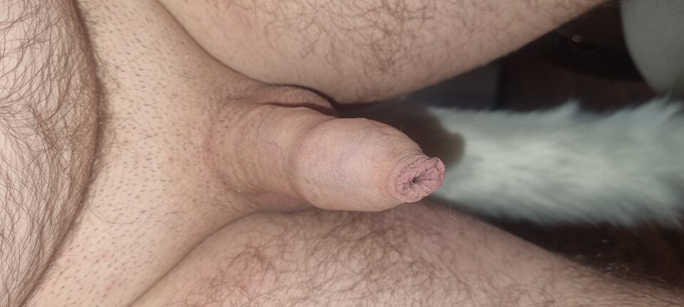 20230314_161725.jpg - Jarekx1