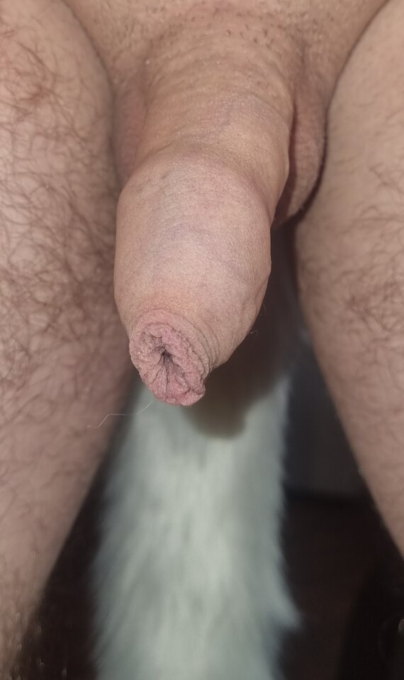 20230314_161725.jpg - Jarekx1