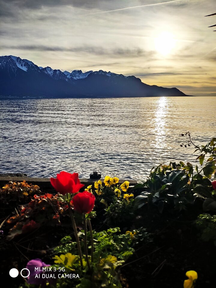 1678639584254_055244.jpg - jaro124589