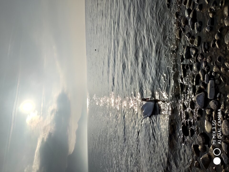 1677947744257_054423.jpg - jaro124589