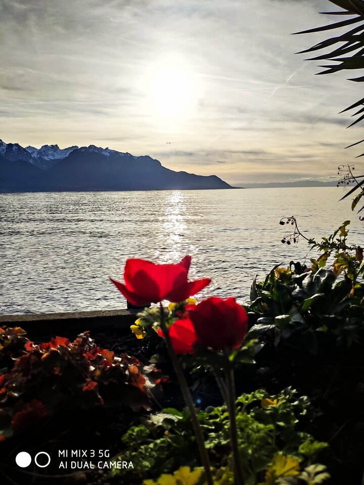 1678640554453_060624.jpg - jaro124589