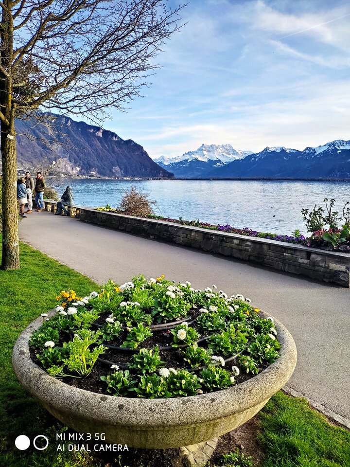 1678639584211_054628.jpg - jaro124589