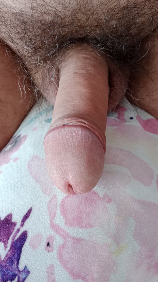 16788834764544188500951861240147.jpg - eroteooo