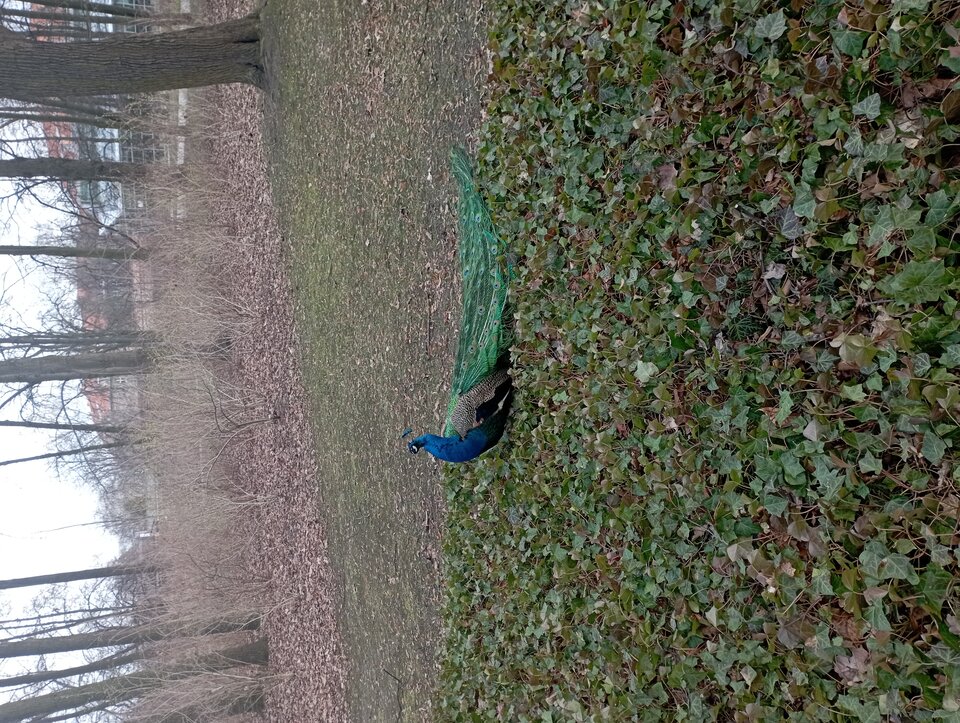 IMG_20230315_133352.jpg - 19slaw79