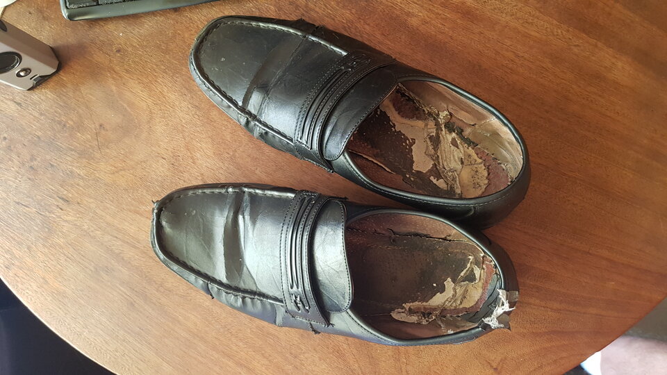 20220816_080803.jpg - stopy222