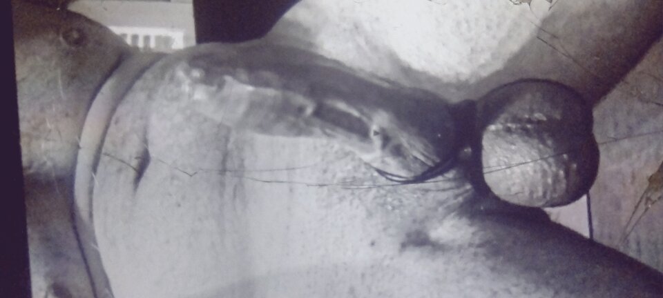 IMG_20230316_134141040_HDR.jpg - qazzaq20